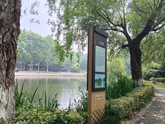 -泰州凤城河风景区-泰山公园