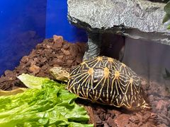 -上海海洋水族馆