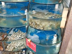 水产区-海之味海鲜大咖·家常菜