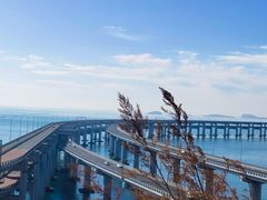 -星海湾跨海大桥