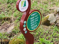 -凤凰山国家森林公园
