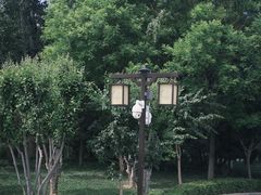 -西海子公园