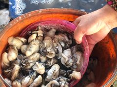 -蚝乡农庄(铁涌赤岸店)