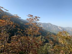 -北京鹫峰国家森林公园