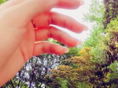 -大雁塔北广场音乐喷泉