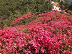 -木兰云雾山