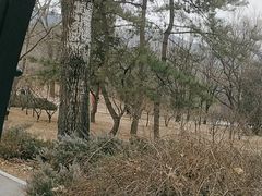 -北京植物园-展览温室