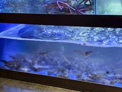 -如轩·海鲜砂锅粥·潮汕菜(南城店)