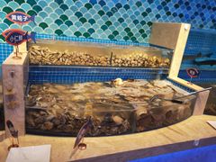 水产区-乔哥铭洋海鲜自助(皇城恒隆广场店)