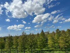 -南汇嘴观海公园