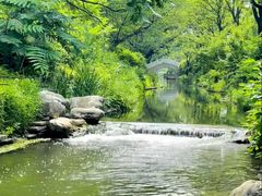 -北坞公园