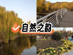 -南翠屏公园