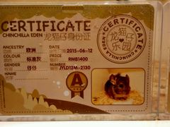 -龙猫仔乐园(惠福东路店)