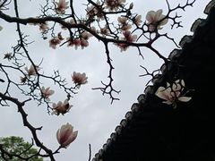 -豫园