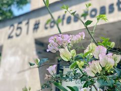 -251#coffee roasters(沿河东路店)