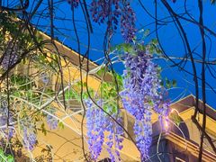 -晋阳饭庄(虎坊桥店)