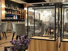 -袖虎·猫馆(体育西路店)