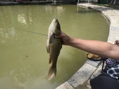 -酷鱼垂钓CLUB(朝阳区博大路店 )