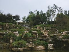 -秀丽东方