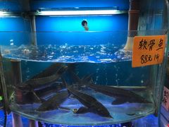 水产区-蔚海之都·象山蒸汽海鲜(仙霞路店)