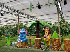 -南宫五洲植物乐园