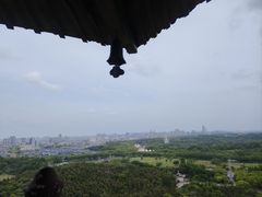 -宜兴龙背山森林公园