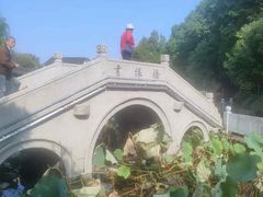 -丝绸小镇荻港古村