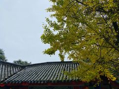 -金堂县云顶石城风景区