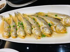 清蒸梅童-高佳庄·舟山海鲜(海景旗舰店)