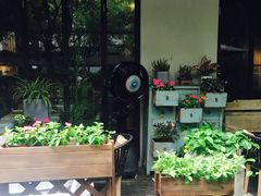-T館·花园艺术餐厅