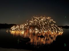 -长田漾湿地公园
