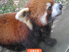 -柳州市动物园