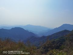 -大岭沟猕猴桃谷风景区