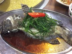 -谢边农庄(海八路店)