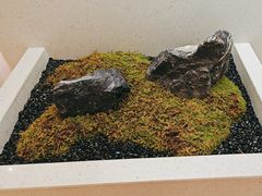 -湖锦酒楼(八一路店)