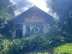 -腾冲洞山温泉村