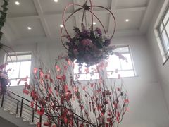 -大连铭湖国际观光牧场