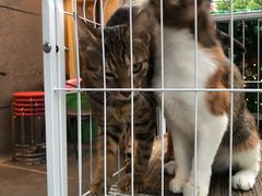-艺味深尝(云锦路店)