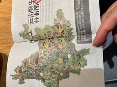 -一朵菌·野生菌探索家火锅(南亚店)