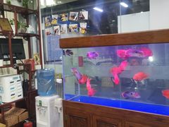 -弈海围棋学堂(夕照寺校区)