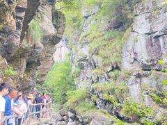 -石台牯牛降景区