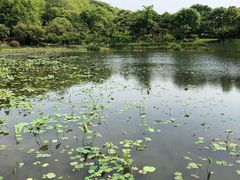 -苏州环秀晓筑养生度假村