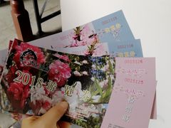 -南汇桃花村