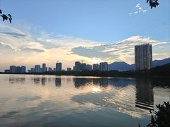 -飞来湖湿地公园