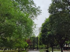 -沐仙湖湿地公园