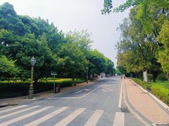 -八大关景区