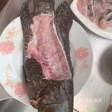 馋猫崽鼓捣下酒菜，清蒸石斑鱼。
