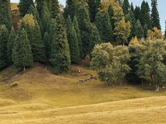 -新疆那拉提国家旅游度假区