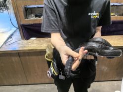 -Zoolung Zoolung动物主题公园(海信广场店)