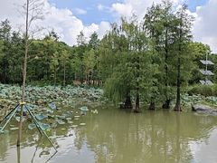 -海珠湖公园